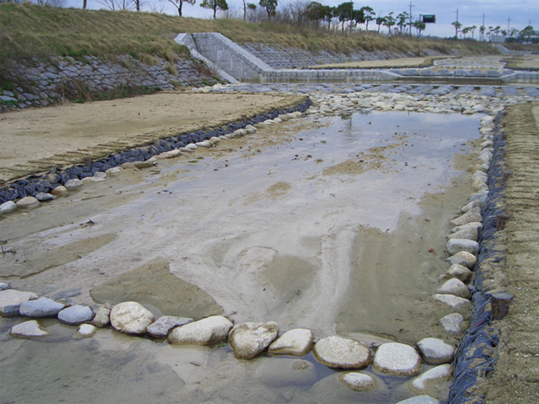 01 連鎖ストーンによる事例：河川 [滋賀県 善光寺川]