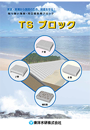 TSブロック